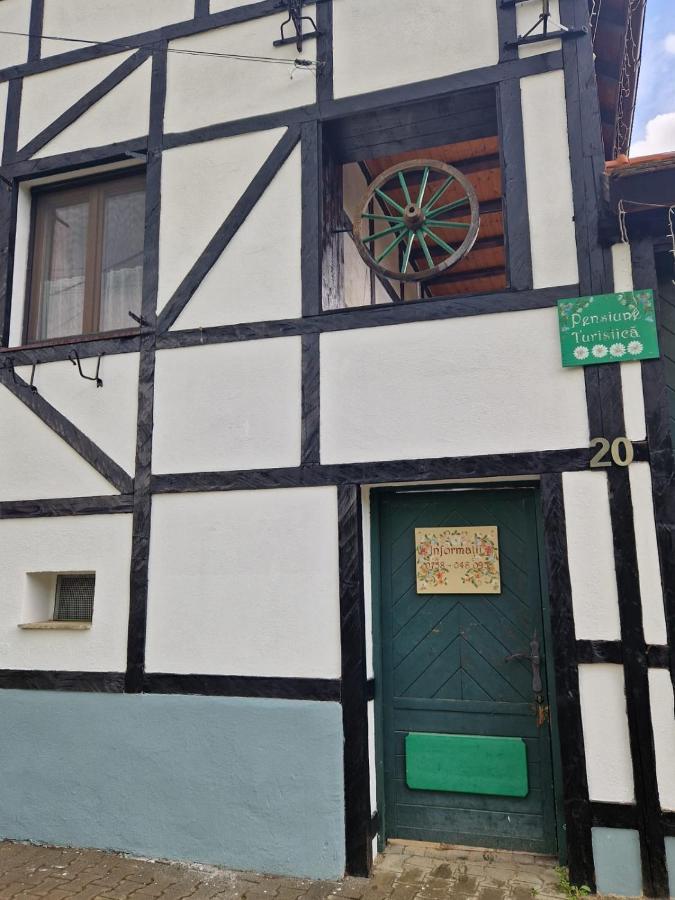 Guest house Pensiunea *