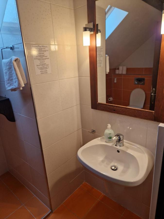 Guest house Pensiunea Cisnadioara