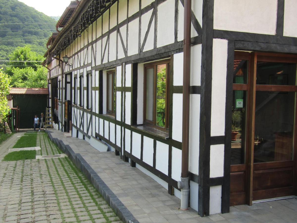 Pensiunea Guest house