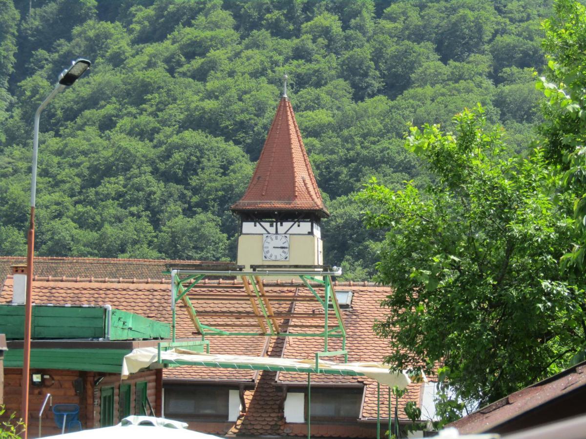 Pensiunea * Cisnadioara