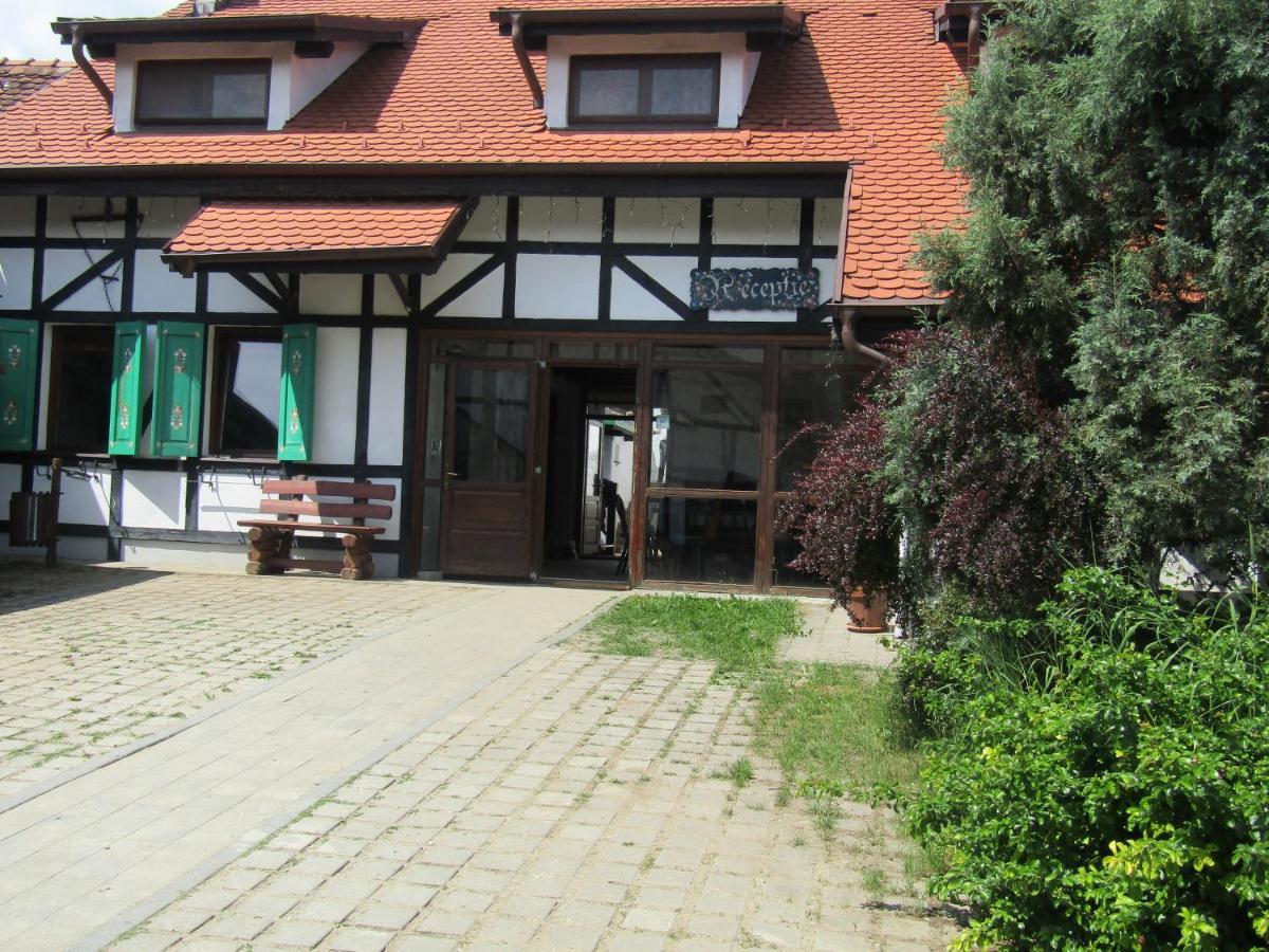 Guest house Pensiunea *