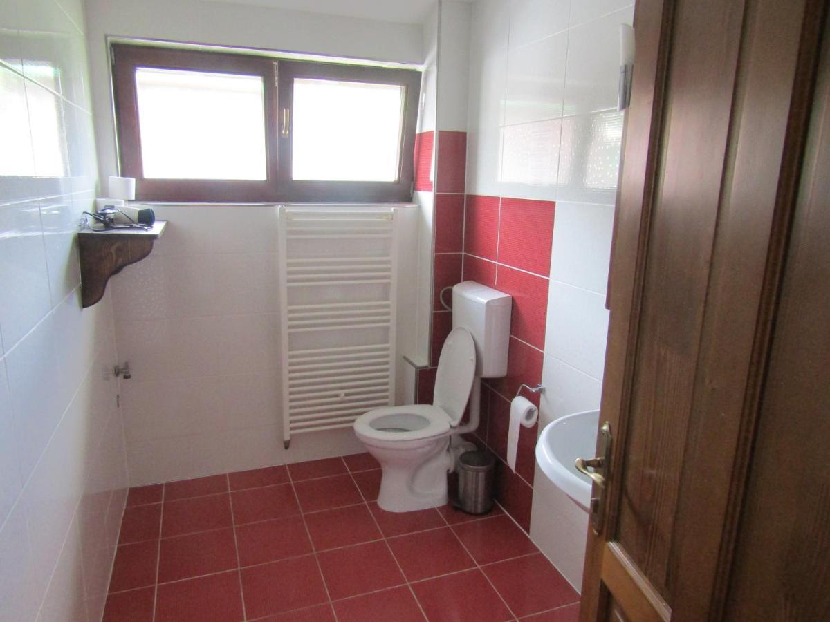 Guest house Pensiunea Cisnadioara