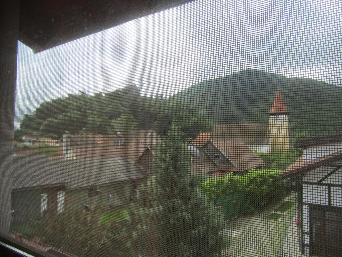 Guest house Pensiunea