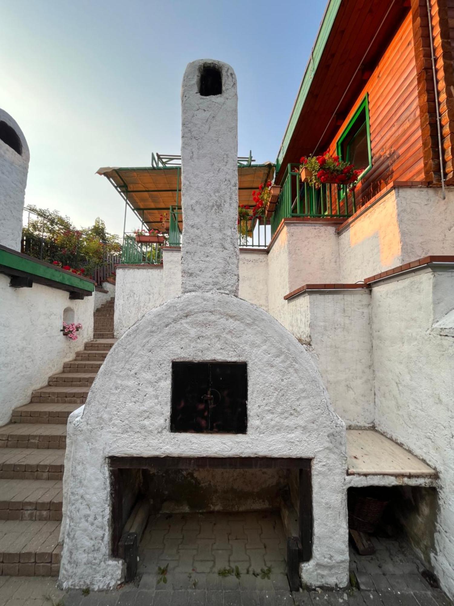 Pensiunea Guest house *