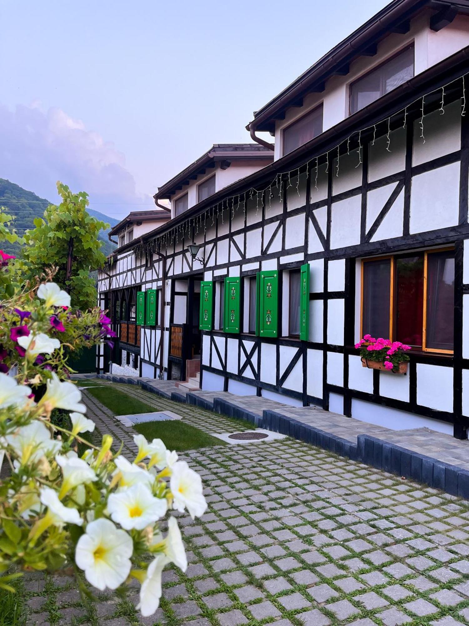 Pensiunea Guest house *