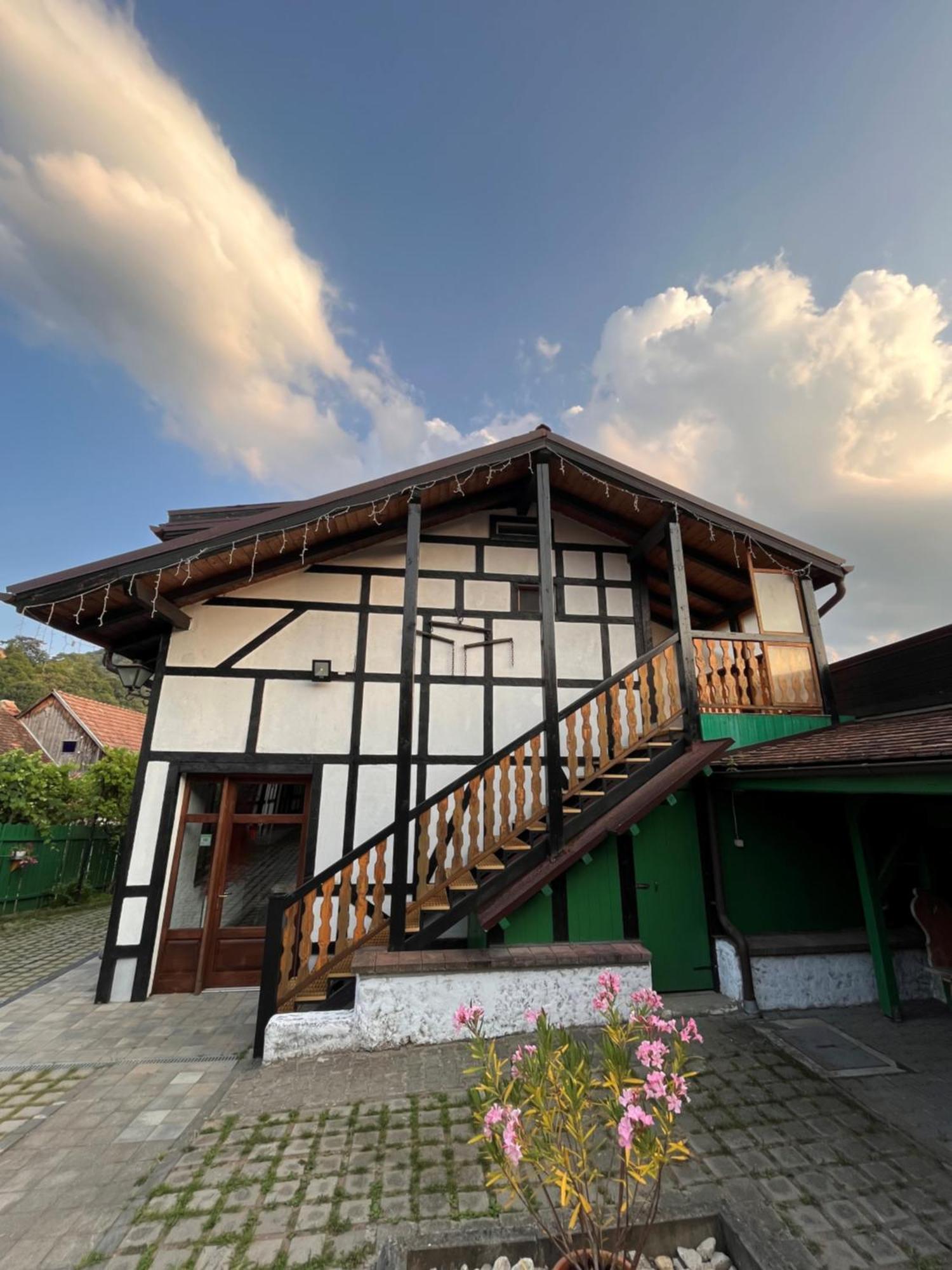 Pensiunea Guest house *